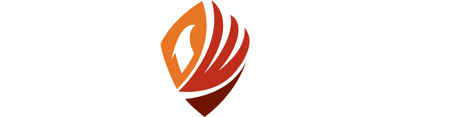 DWI TEAM Logo